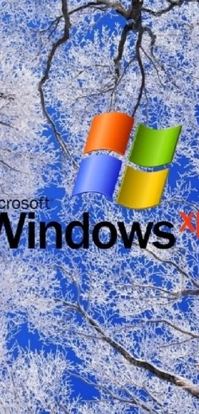 Windows XP logo over winter forest scene with blue sky.