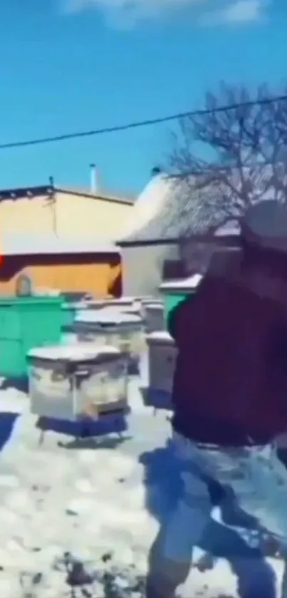 Man tending beehives in winter landscape.