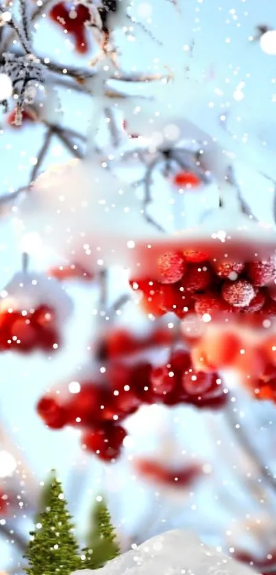Red berries under snow on a winter branch with a blue sky.