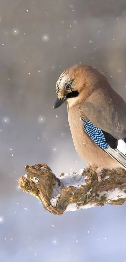 A bird perched on a snowy branch in a winter scene.