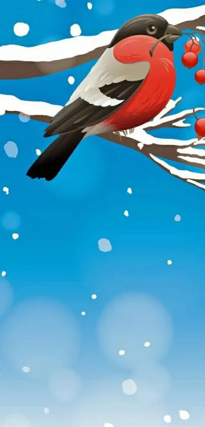 Red bird on a snowy branch against a blue sky.