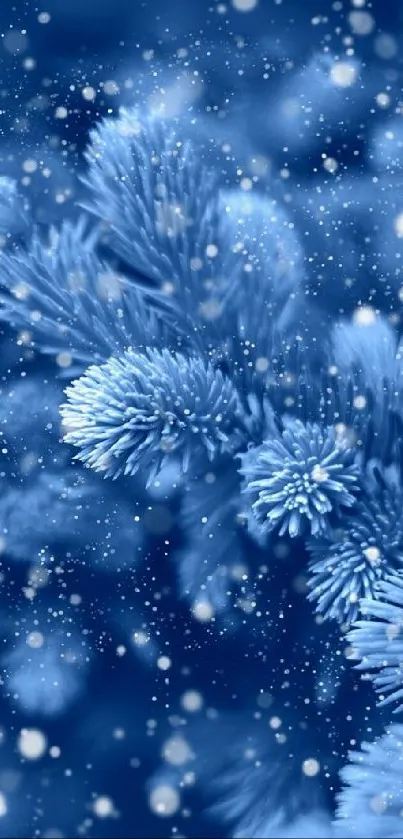 Blue pine needles with falling snowflakes wallpaper.