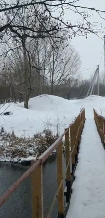 Snow-covered bridge over a winter stream in a serene landscape.