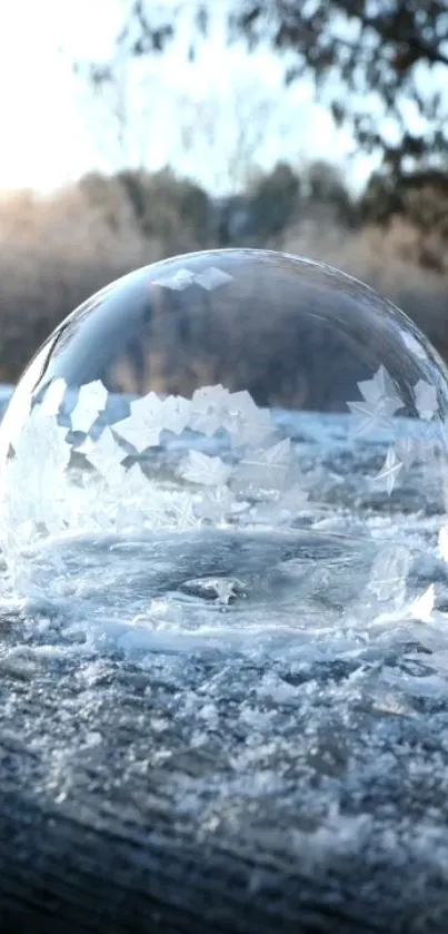 Frozen soap bubble on icy surface in winter landscape.