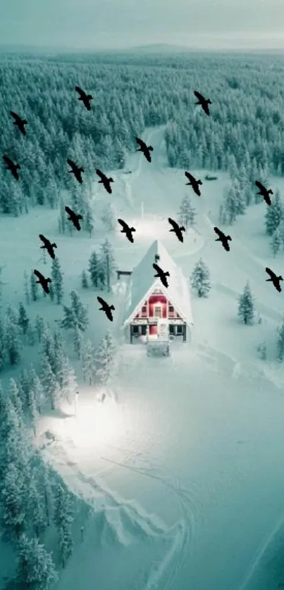 Aerial view of snowy cabin surrounded by forest and birds.