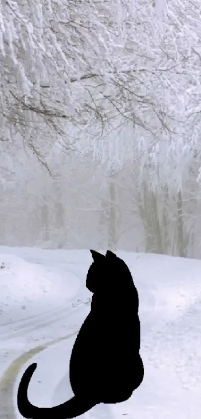 Shadowy cat in a snowy forest setting.