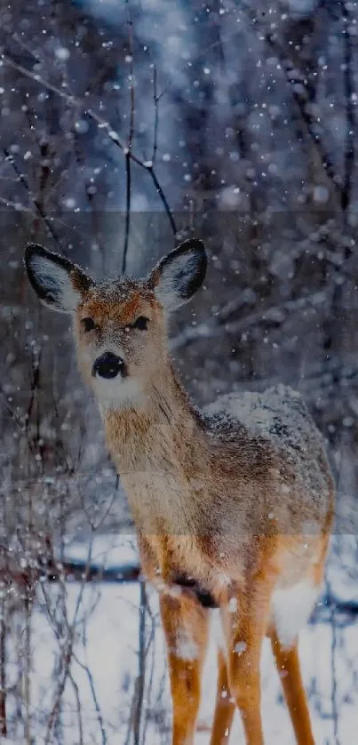 A deer stands in a snowy forest with snowflakes gently falling around.