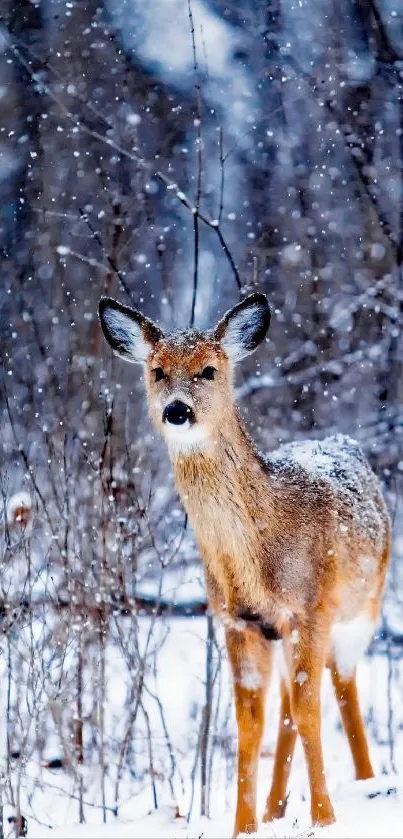 A young deer standing in a snowy winter forest.