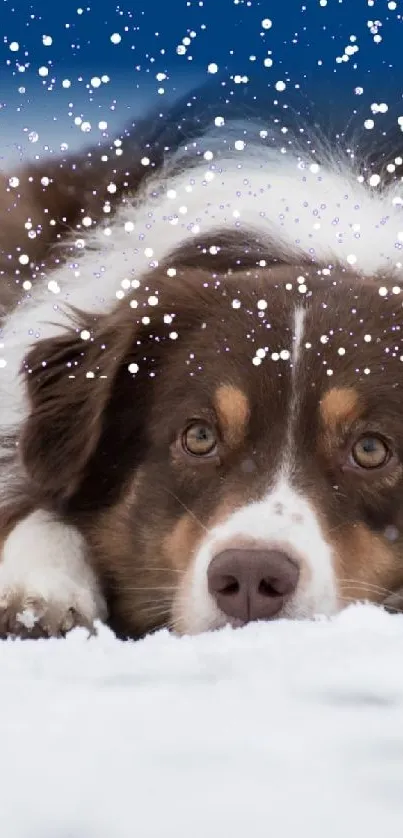 Dog lying in snow, capturing winter's serene beauty.