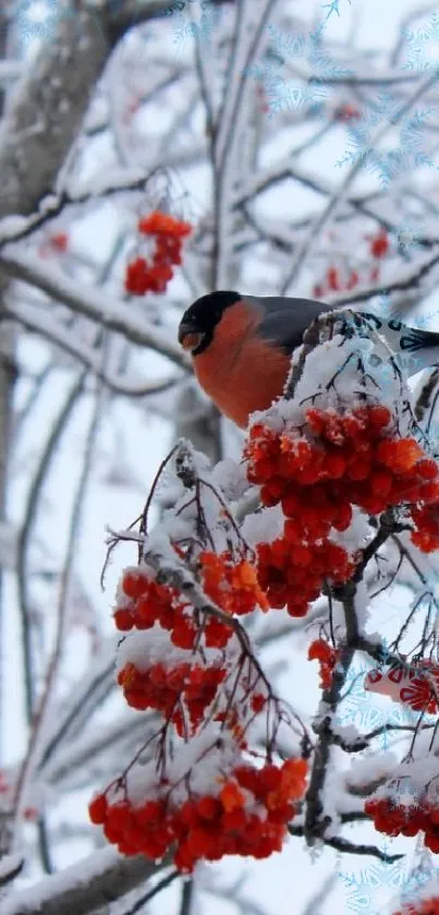 Finch perched on snowy berry branch in winter landscape.