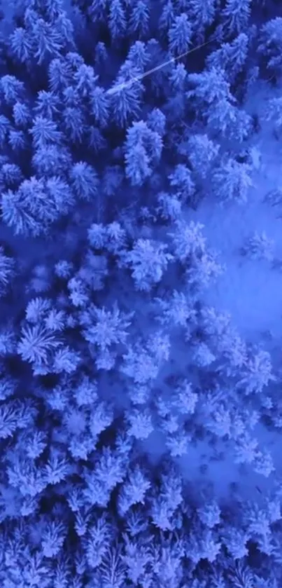 Aerial view of snow-covered forest in blue hues.