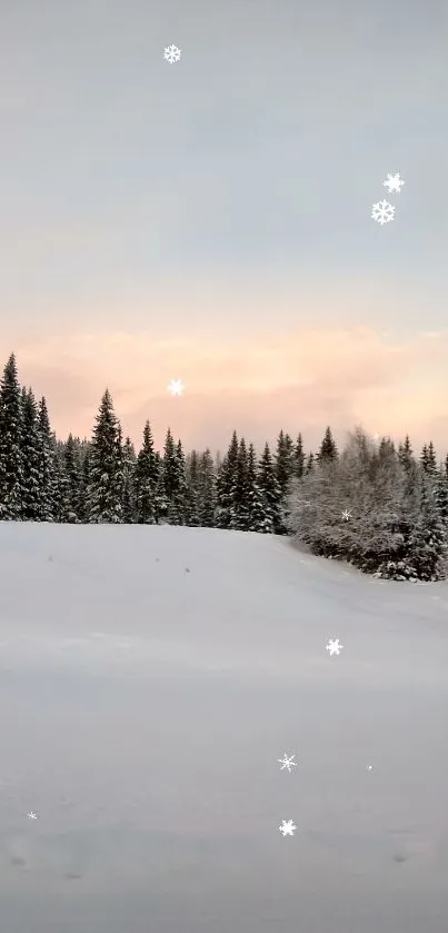 Snow-covered forest under a pastel winter sunset sky.