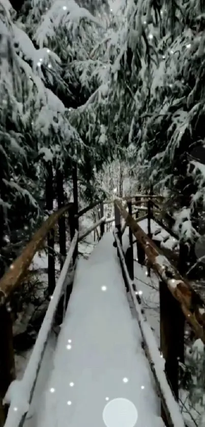 Snowy forest path with wooden bridge and fir trees in winter.