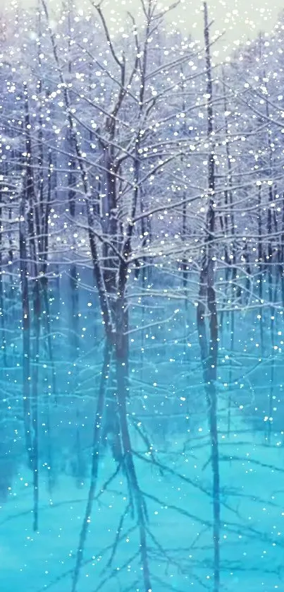 Winter forest with snow and blue lake reflection wallpaper.