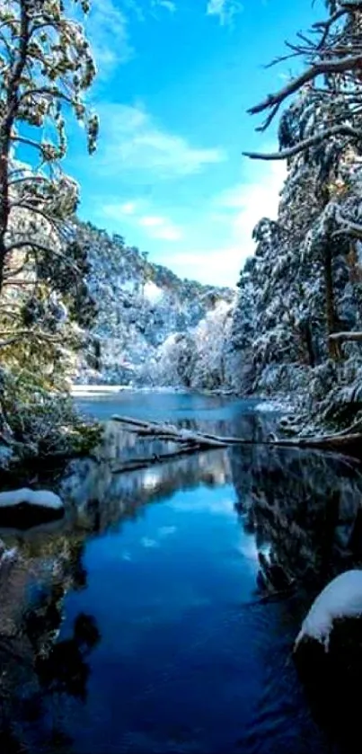 Snowy forest with a serene blue lake under a bright sky.