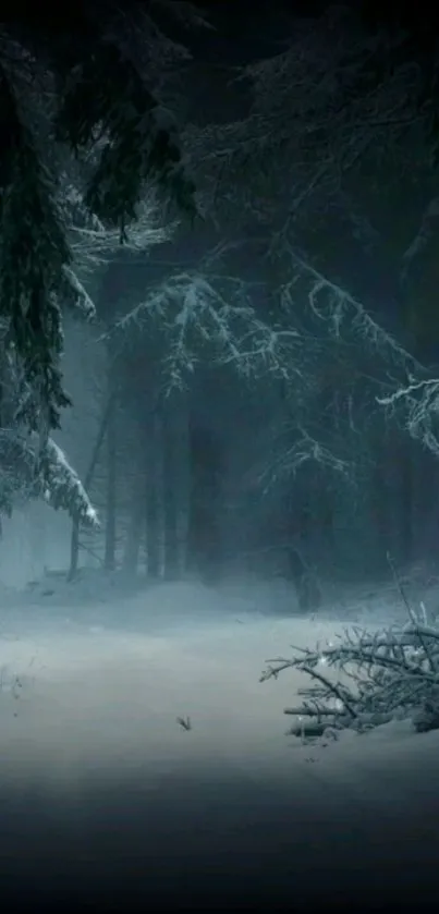 Snowy winter forest with tall trees under a twilight sky.