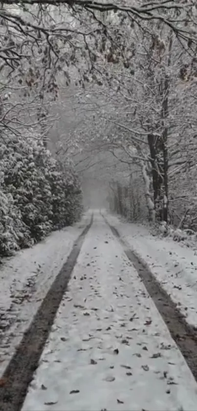 Snow-covered forest path in winter, creating a serene mobile wallpaper.