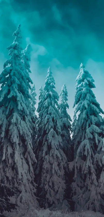 Snowy forest with teal sky mobile wallpaper.