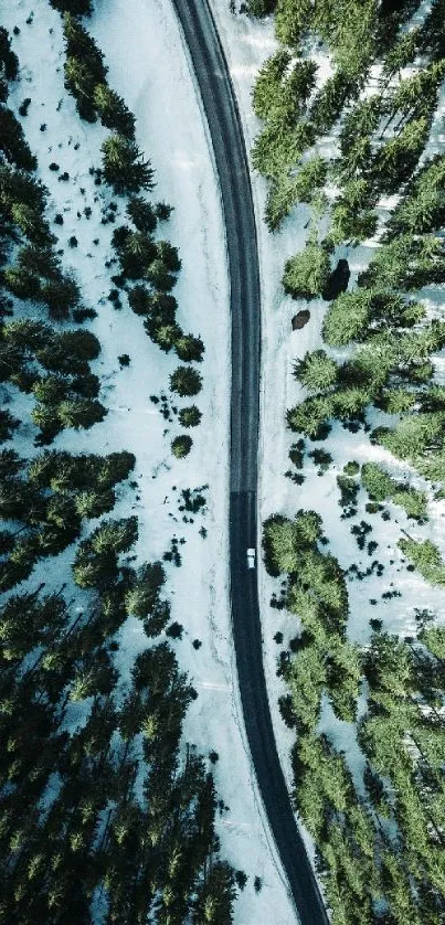 Aerial view of a snow-covered forest road with lush green trees.
