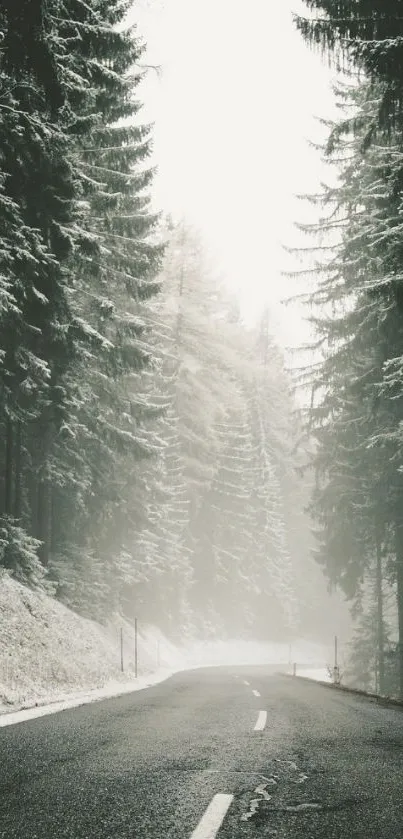 A winter road through snow-covered forest trees under a misty sky.