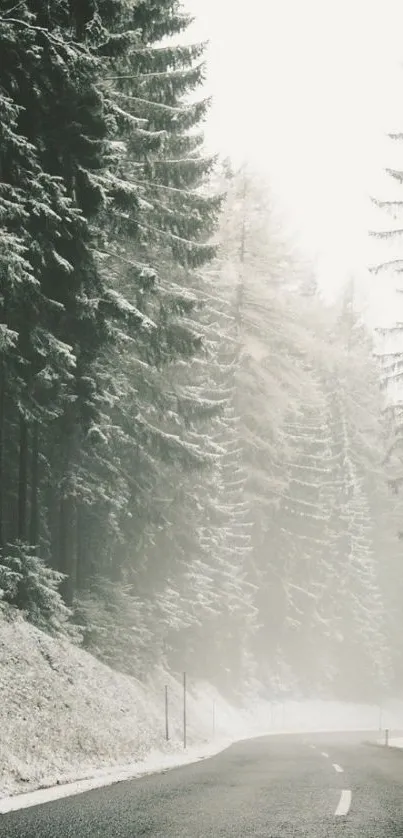 Scenic winter forest road with snow.