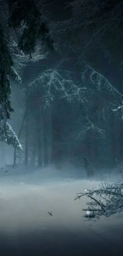 Dark and serene winter forest with snow-laden trees.