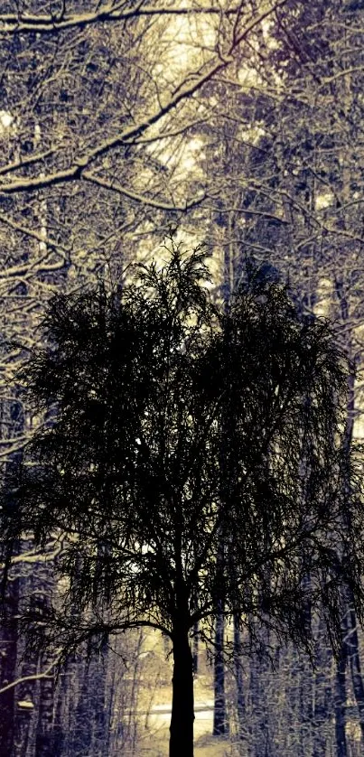 Silhouette of a tree in a snowy winter forest scene.