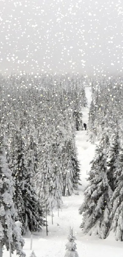 Snowfall over a peaceful winter forest landscape.