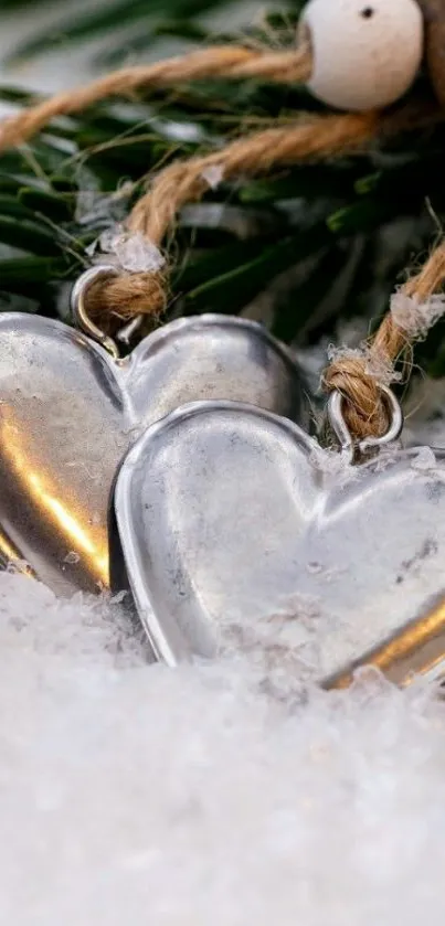 Silver heart charms on snow with green pine.