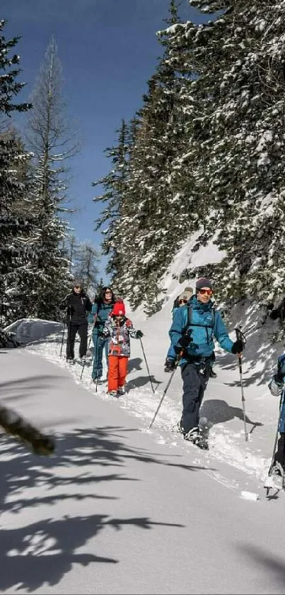 Families hiking through snow-covered mountain trails in a winter forest.