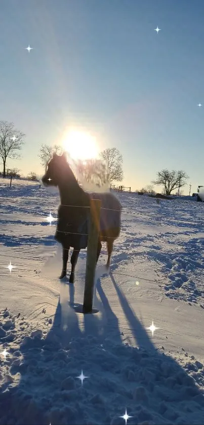 A horse standing in a snowy field at sunset with sparkling effects.