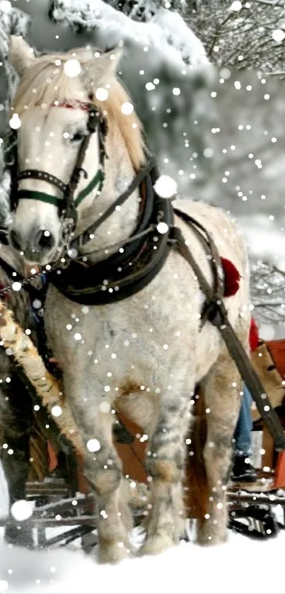 Majestic horse pulling sled in snowy winter landscape.