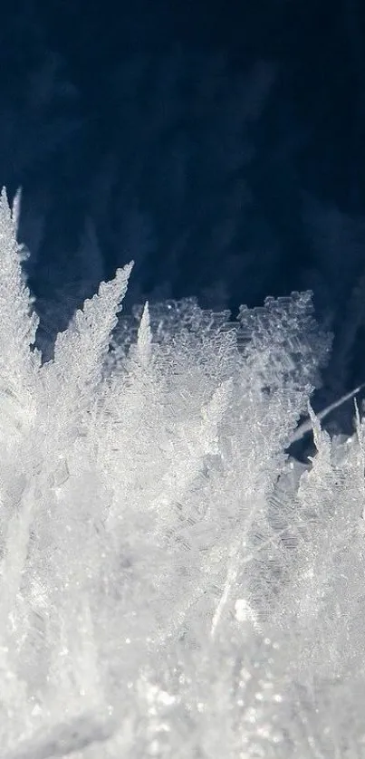 Mobile wallpaper of intricate white ice crystals with a deep blue background.