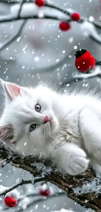 White kitten on snowy branch with red berries.