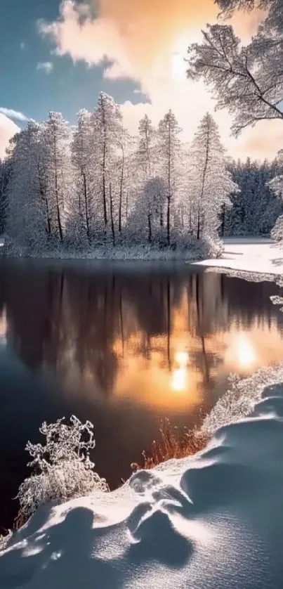 Snow-covered trees reflected on a winter lake at sunset.