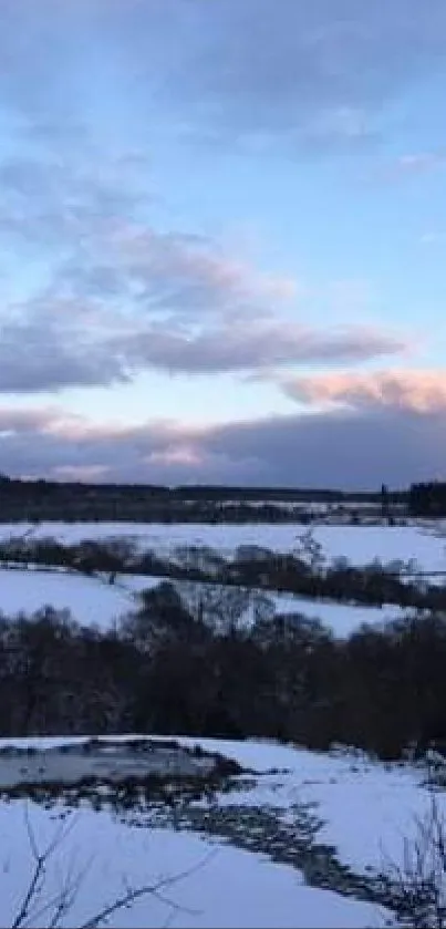 A peaceful winter landscape with snow and blue sky.