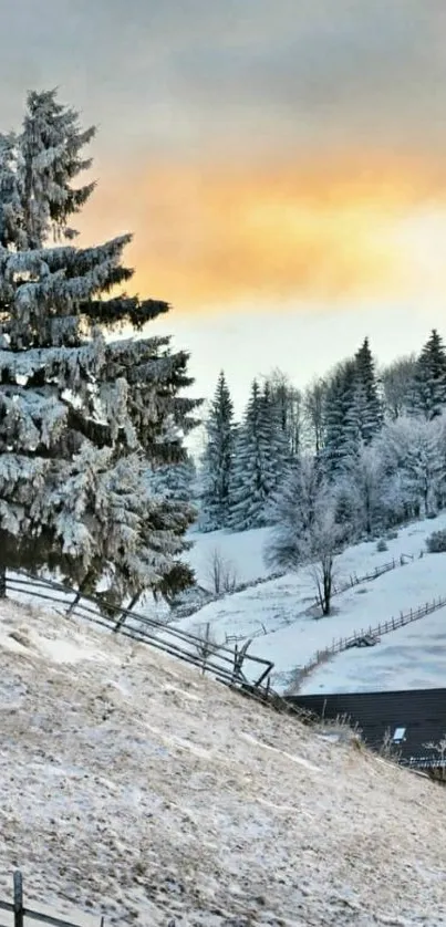 Snowy landscape with sunrise and snow-covered trees against an orange sky.