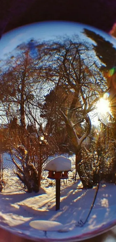 Winter landscape viewed through a lensball with snow and sunlight.