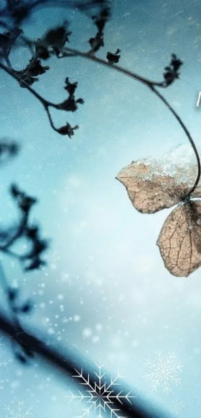 Serene winter leaf wallpaper with frosty snowflakes and blue hues.