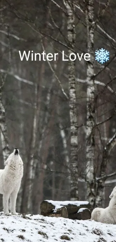 Two wolves howling in a snowy winter forest with the text 'Winter Love'.