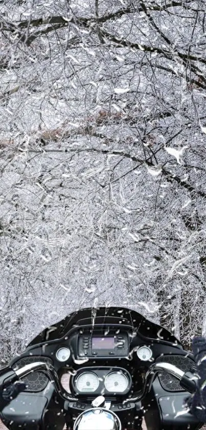 Motorcycle ride through a snowy forest with white barren trees.