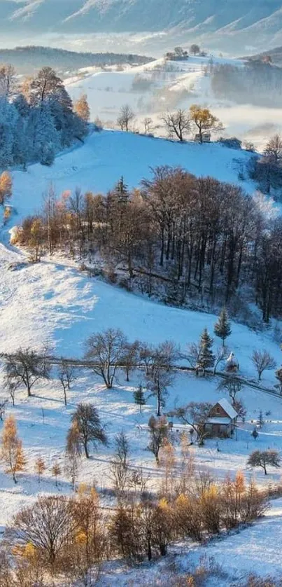 Winter mountain landscape with snow and autumn trees.