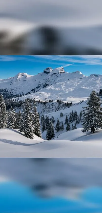 Snowy mountain landscape with trees and blue sky.