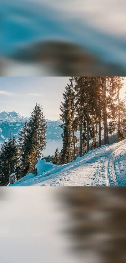 Snowy mountain landscape with trees and blue sky.