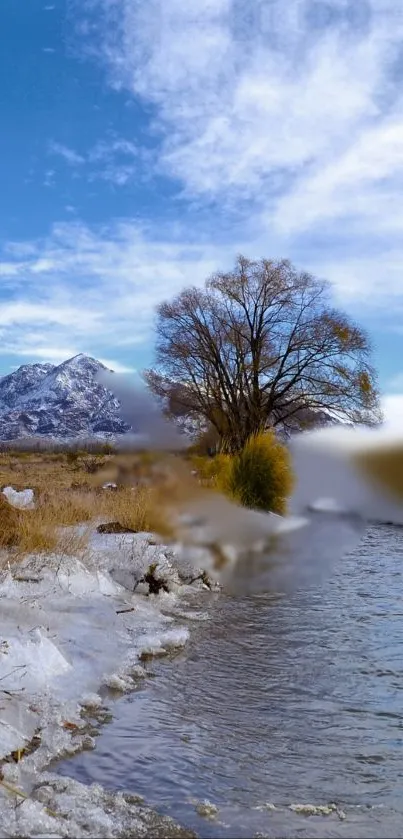 Serene stream with snowy mountains and blue sky.