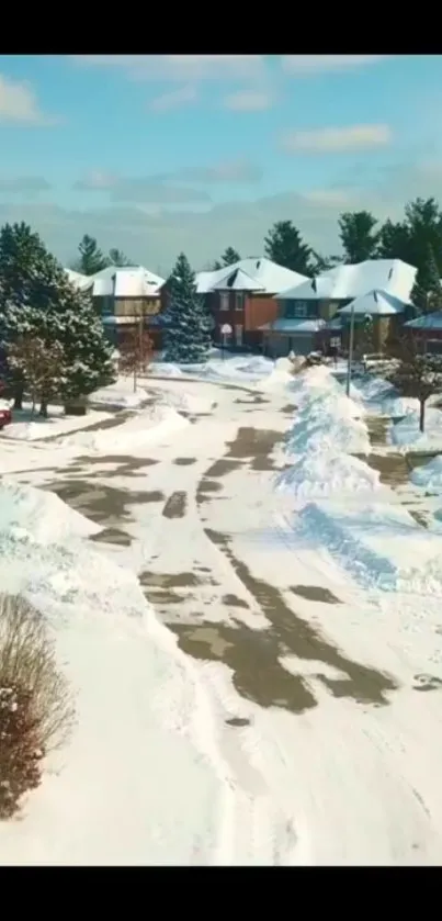 Snowy neighborhood scene with houses and trees under a clear blue sky.