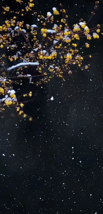 Snowy night with yellow blossoms on dark blue background.