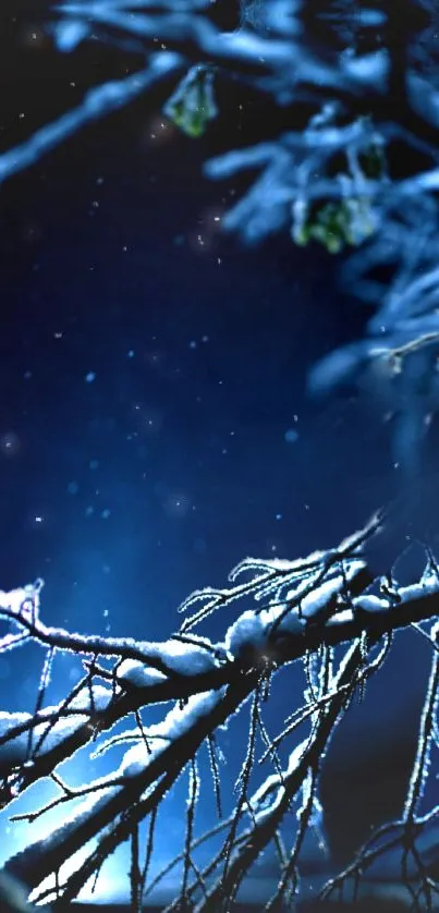 Snowy branches under a starry blue night sky, creating a serene winter scene.