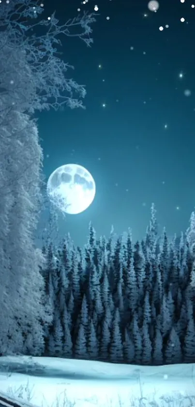 Winter night forest under full moon with stars and snow-covered trees.