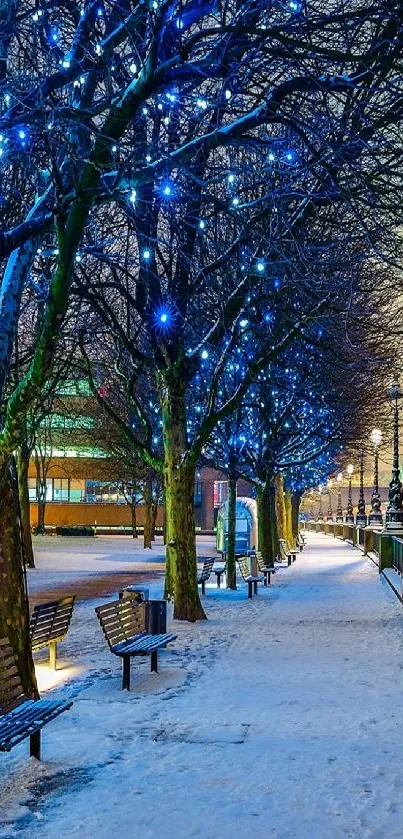 A snowy winter path lit with blue lights and benches under tree branches.